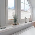Apartment Duenenmeer *